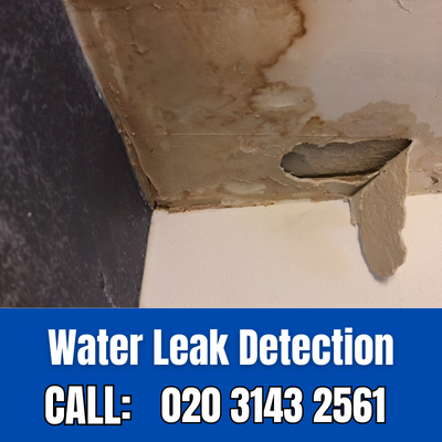 Expert Water Leak Detection Services in Ruislip | Ruislip Leak Detection